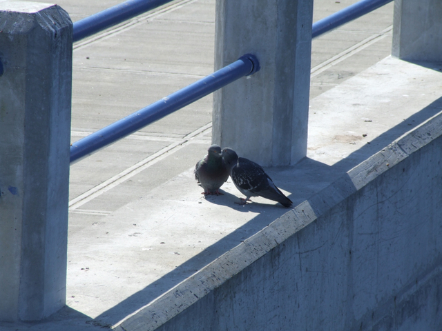 Love is in the Air! =)