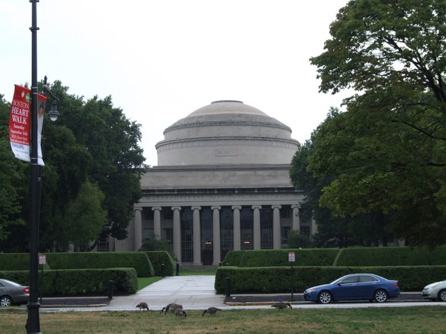 MIT