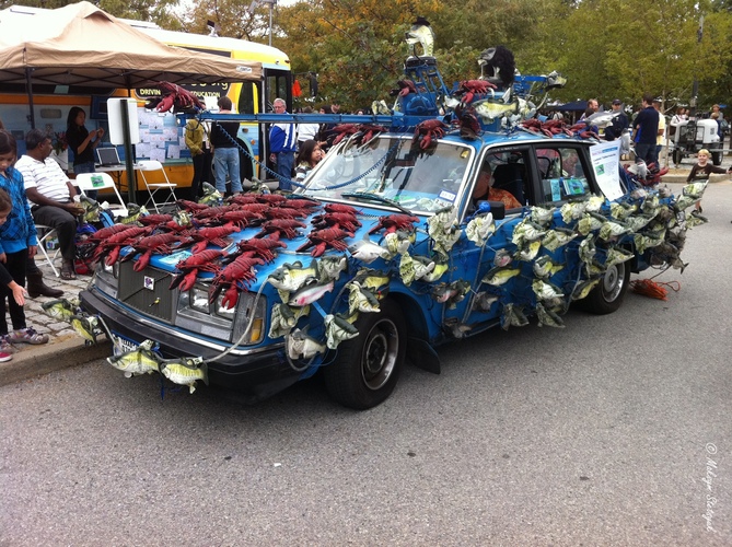 Співаючі риби