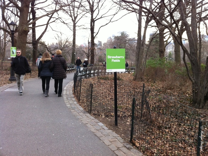 Полуничні Поля