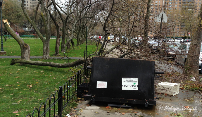 Сміттєвий бак, котрий невідомо звідки Сенді принесла :)