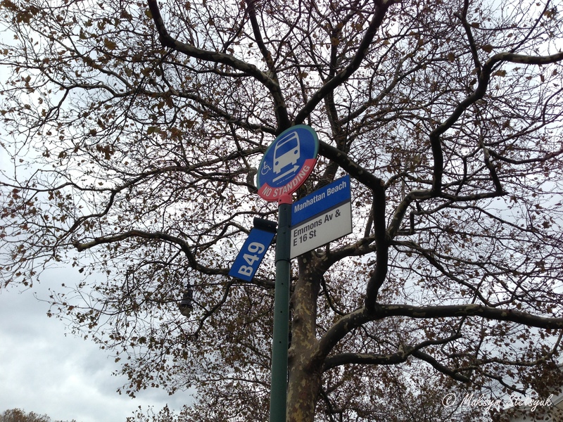 Автобуси пустили з середи за недільним розкладом