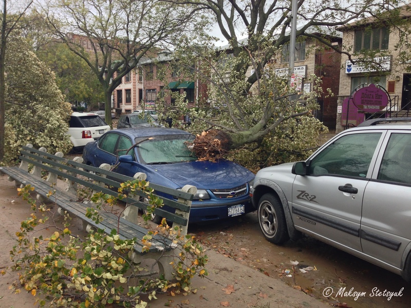 Чергове дерево на машині